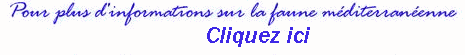 Infos
