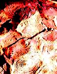 stromatolithe